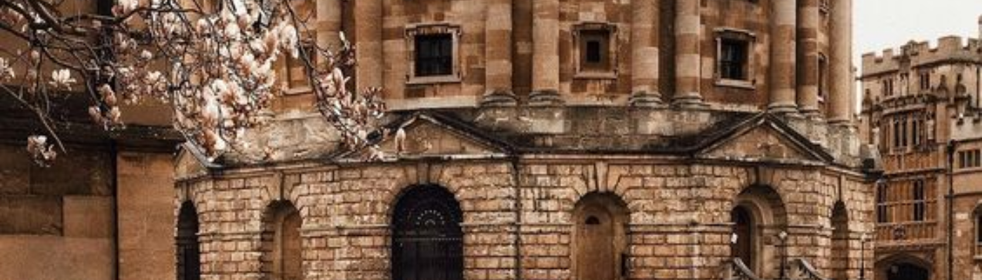 Profile banner image for mouseamour