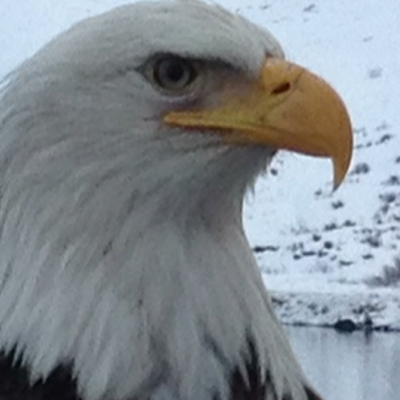 Profile avatar image for Scott1