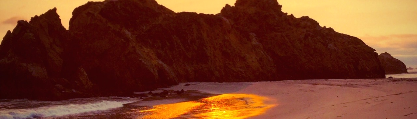 Profile banner image for NatalieSur