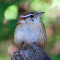 Profile avatar image for ASHernandez