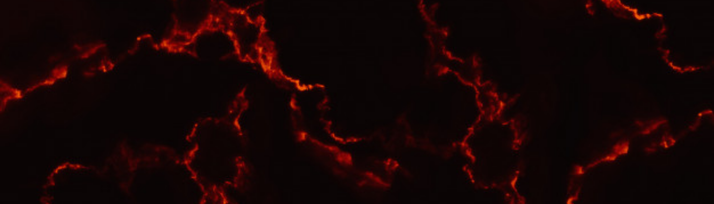 Profile banner image for Anonymityiskey