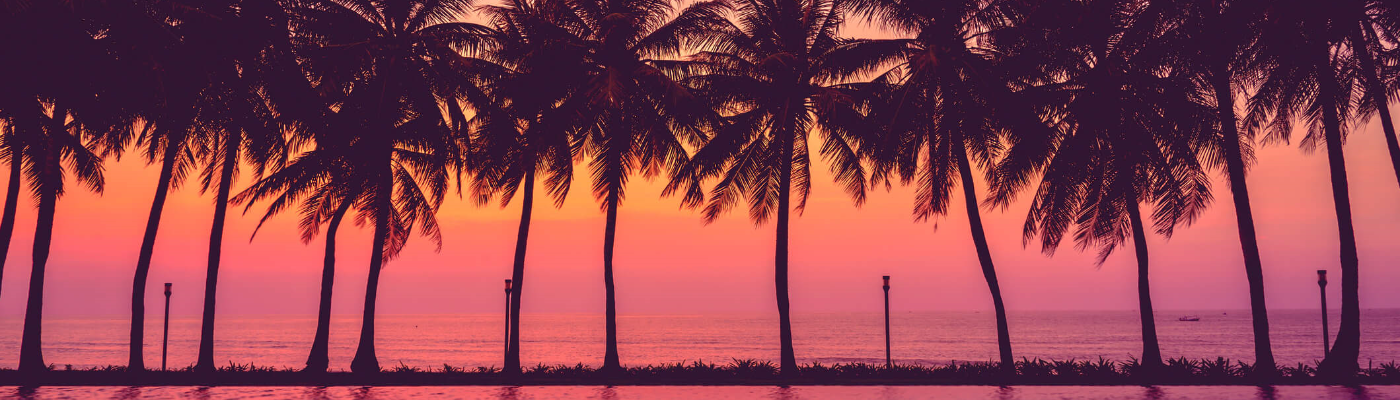 Profile banner image for Writetobite310