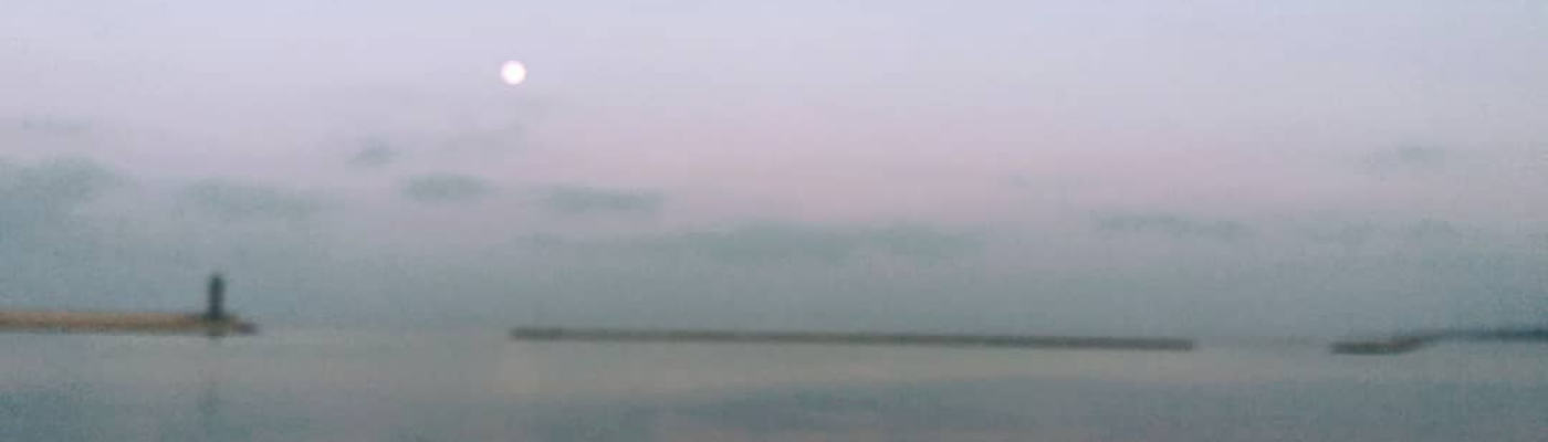 Profile banner image for ArienVirov