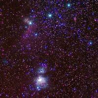 Profile avatar image for BowsBeforeProse