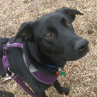 Profile avatar image for VixieJay