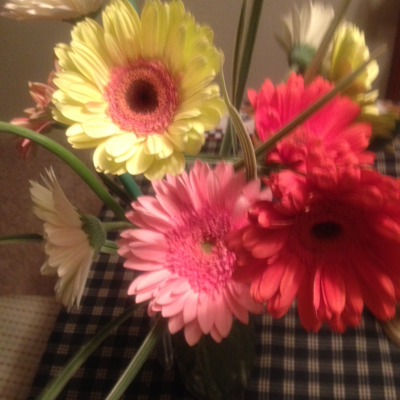 Profile avatar image for Gracenote