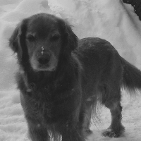 Profile avatar image for mrglass