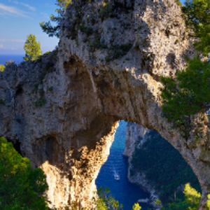 Profile avatar image for SarahBarax