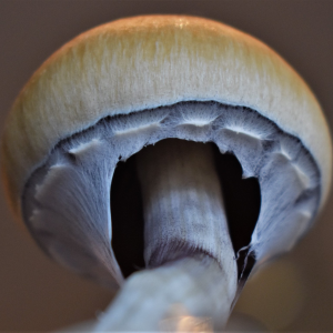 Profile avatar image for Raganjames