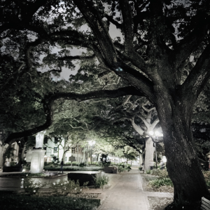 Profile avatar image for GaybeTheEnnboy