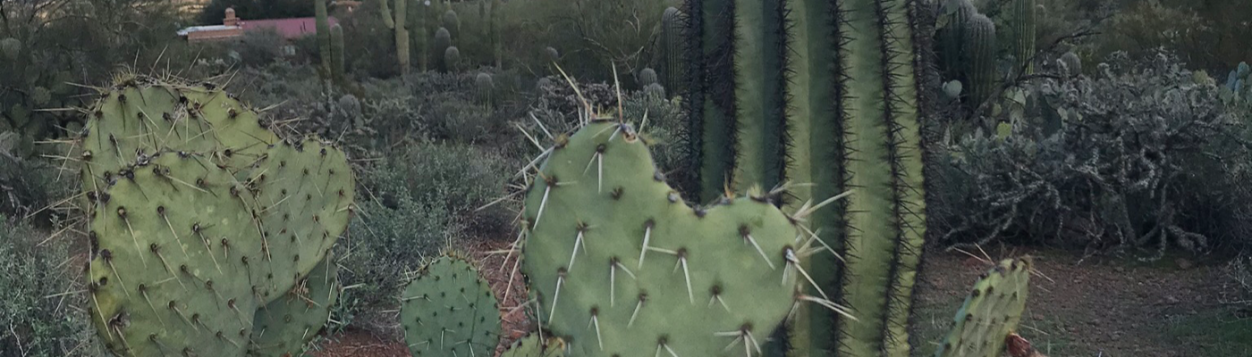 Profile banner image for SydPanda5