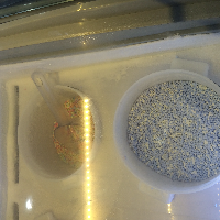 Profile avatar image for proseal