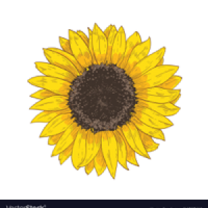 Profile avatar image for jknig