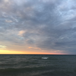 Profile avatar image for sababazzi