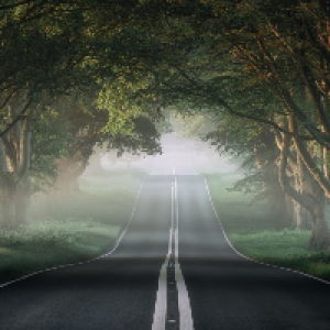 Profile avatar image for Alicia_Guevara1