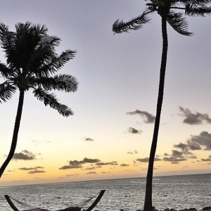 Profile avatar image for paperadventure