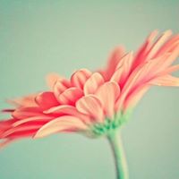 Profile avatar image for JeShanahDavis