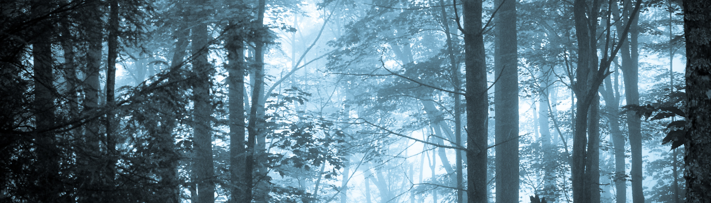 Profile banner image for Krislarie