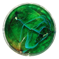 Profile avatar image for Fishsnippets