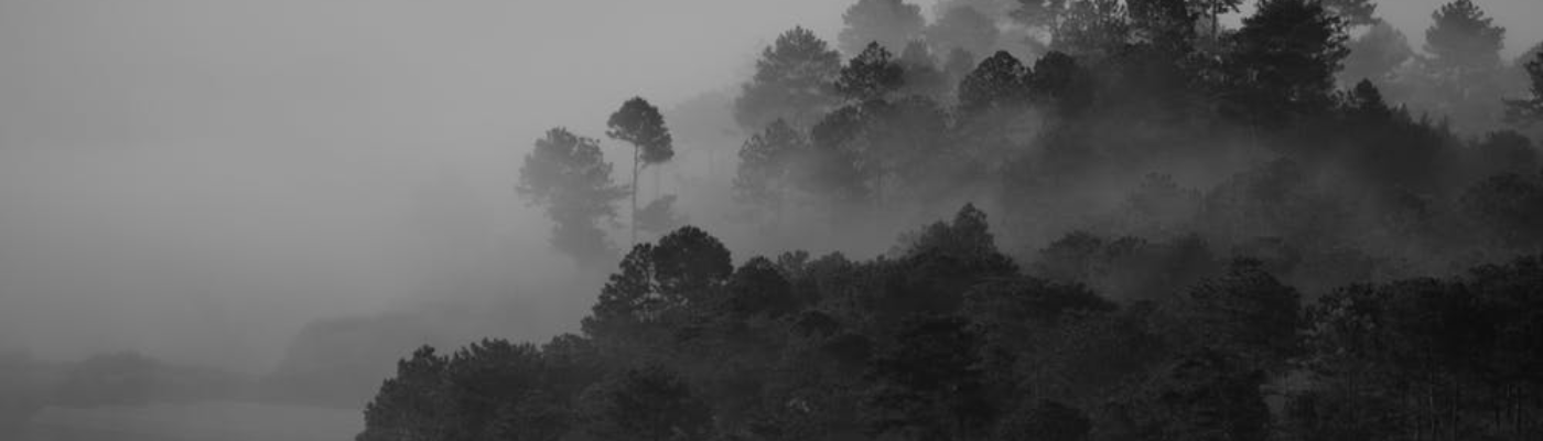 Profile banner image for mkmcwilliams