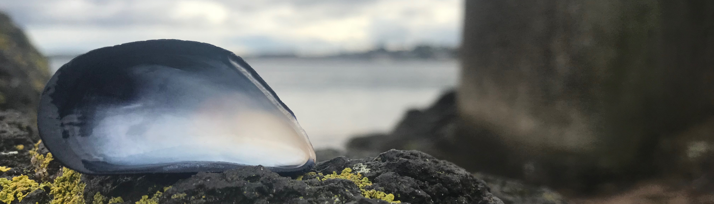 Profile banner image for summits