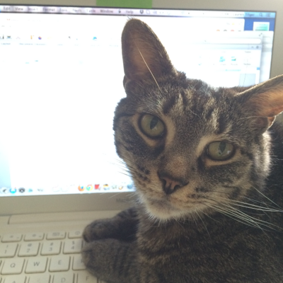 Profile avatar image for ltiger