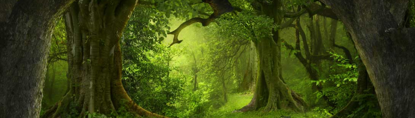 Profile banner image for esa4jh