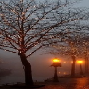 Profile avatar image for almighty_milk