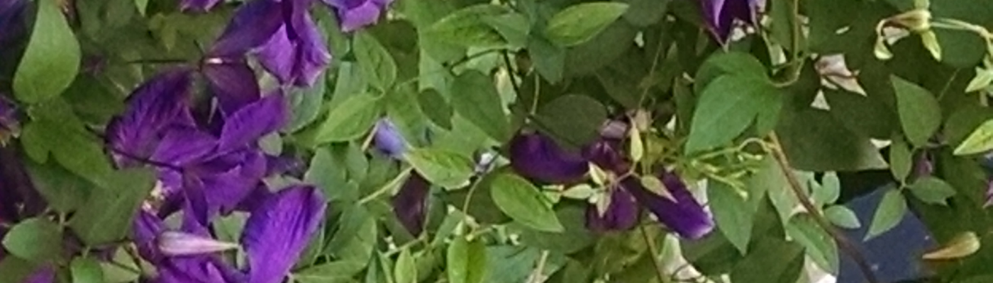 Profile banner image for KABall