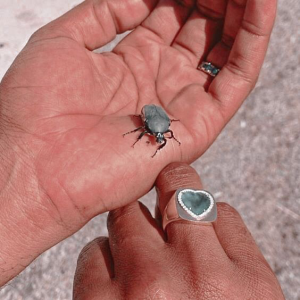 Profile avatar image for rvckstars