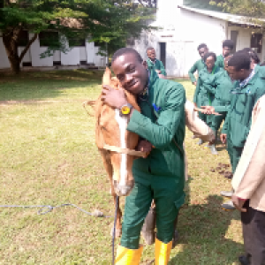 Profile avatar image for Duramata