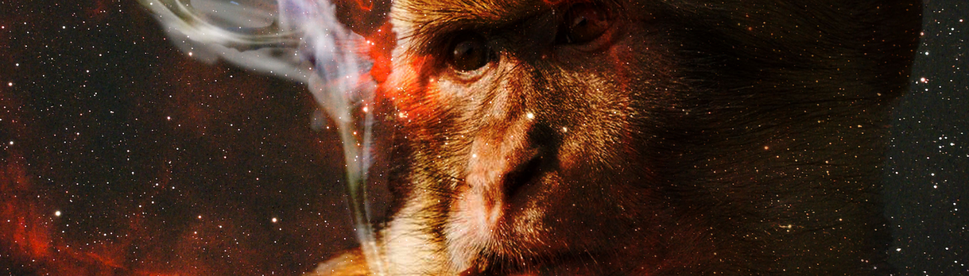 Profile banner image for TheStoryTeller1