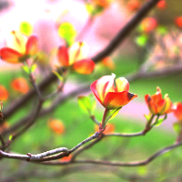 Profile avatar image for Mal