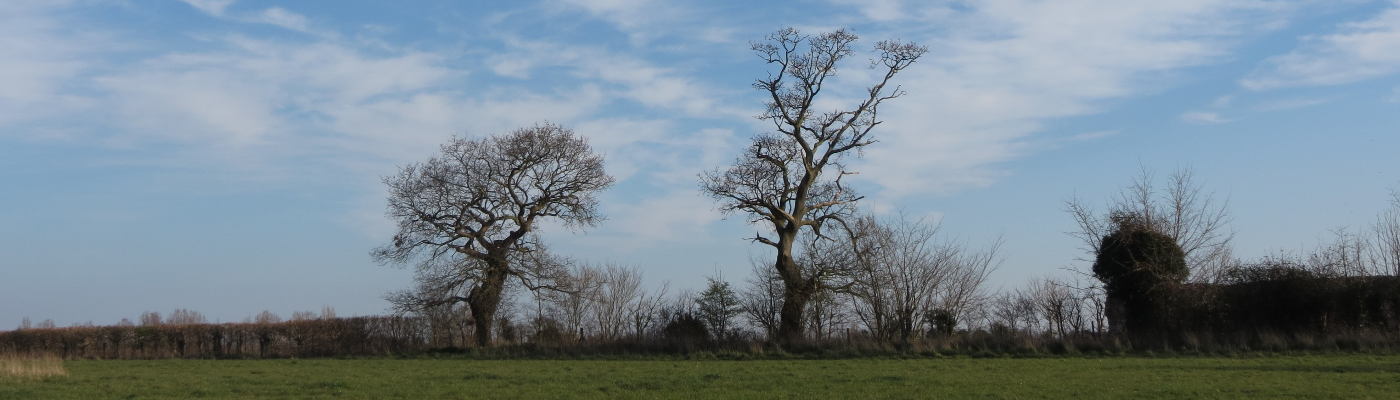 Profile banner image for Terram