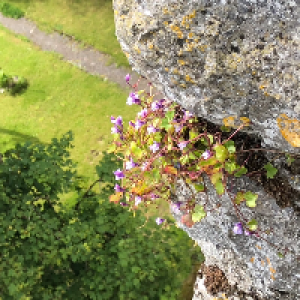 Profile avatar image for thelastpage