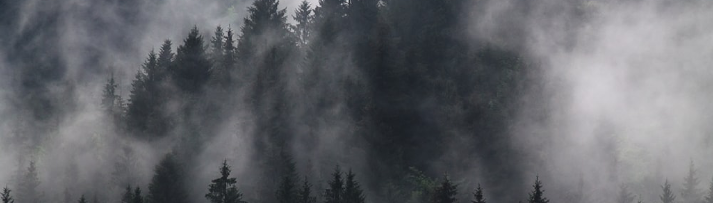 Profile banner image for Jwhiz