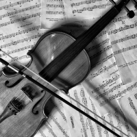 Profile avatar image for EmmaRose13