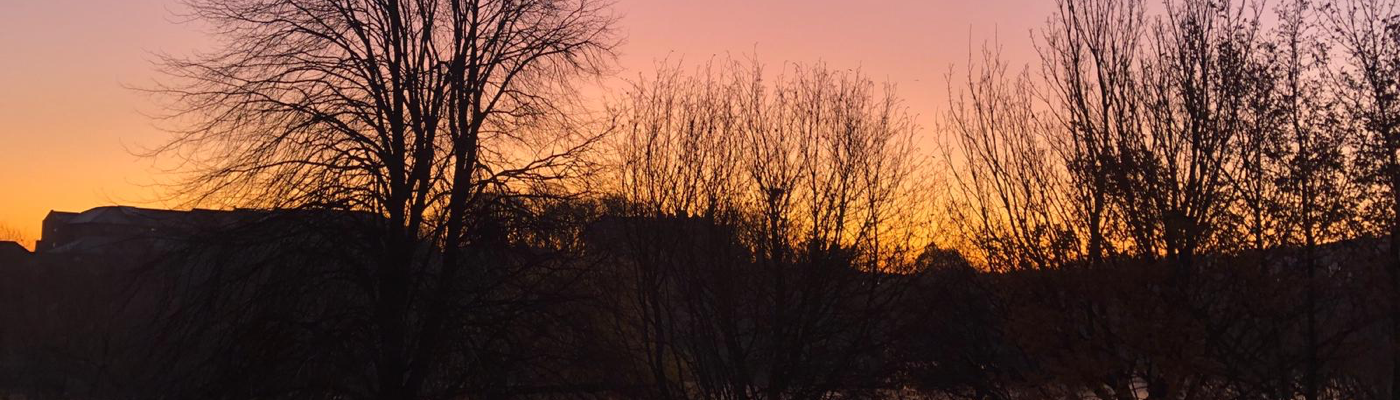 Profile banner image for Peacock