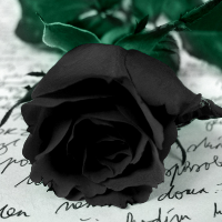 Profile avatar image for LovelyDarkness