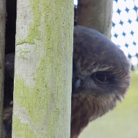 Profile avatar image for jenbug1989