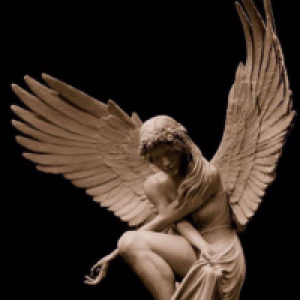 Profile avatar image for Dmoral