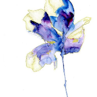 Profile avatar image for Afro_Cinder