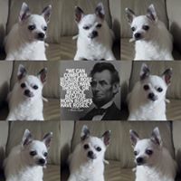 Profile avatar image for waxfruit