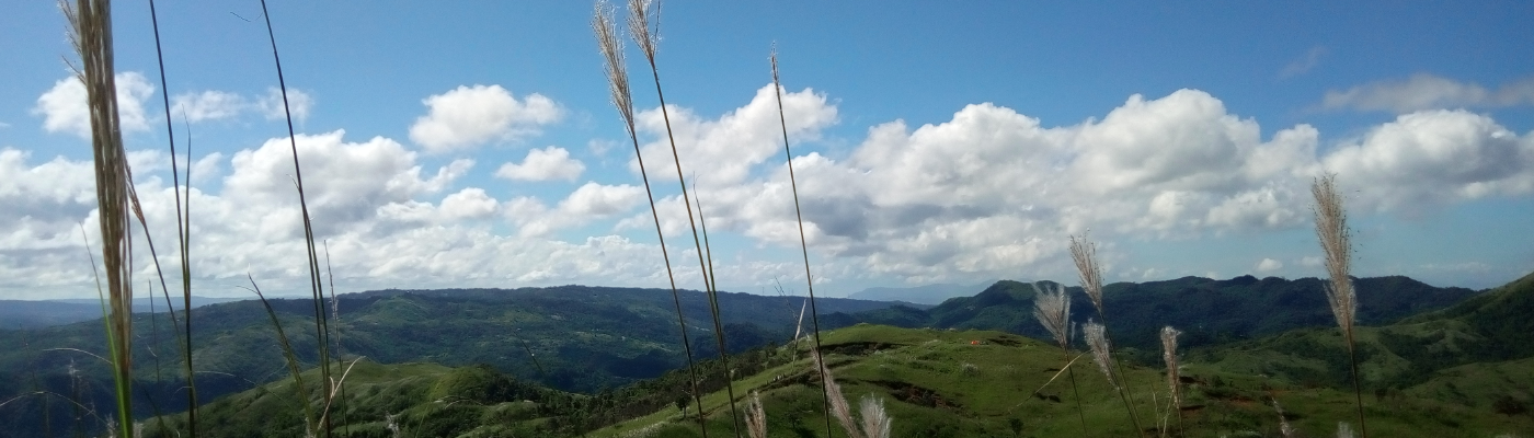 Profile banner image for Red_Ink