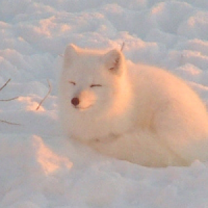 Profile avatar image for twelveth