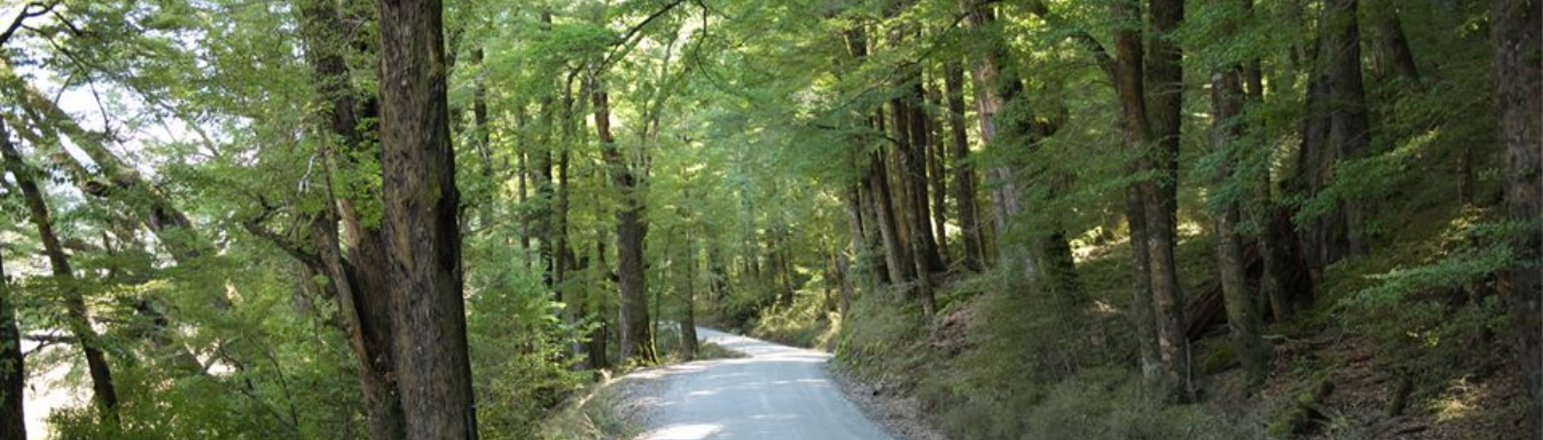 Profile banner image for thesleepclinic