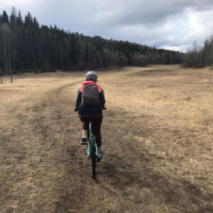 Profile avatar image for CaitlynO