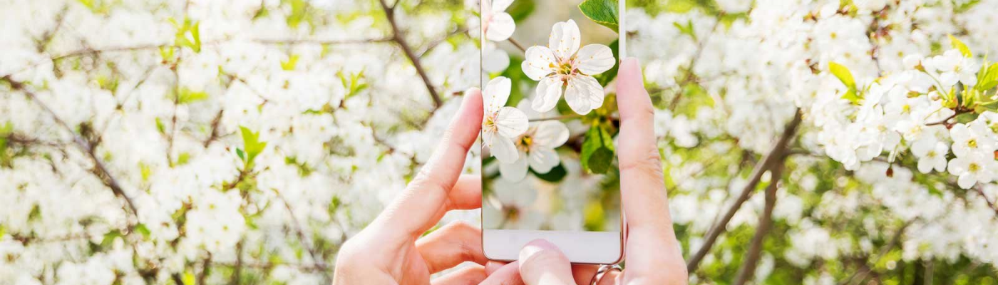 Profile banner image for nicolelow