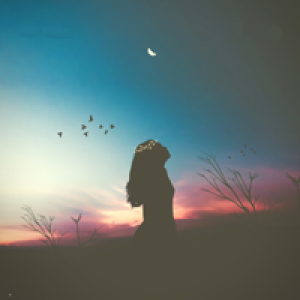 Profile avatar image for Starryskies