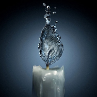 Profile avatar image for emilyjiang